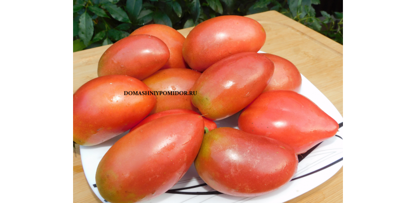 Гном Альмандин ( Dwarf Almandine, США, Австралия)